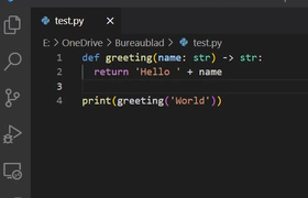 Visual Studio Code met Python-code