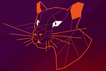 Ubuntu 20.04 LTS logo