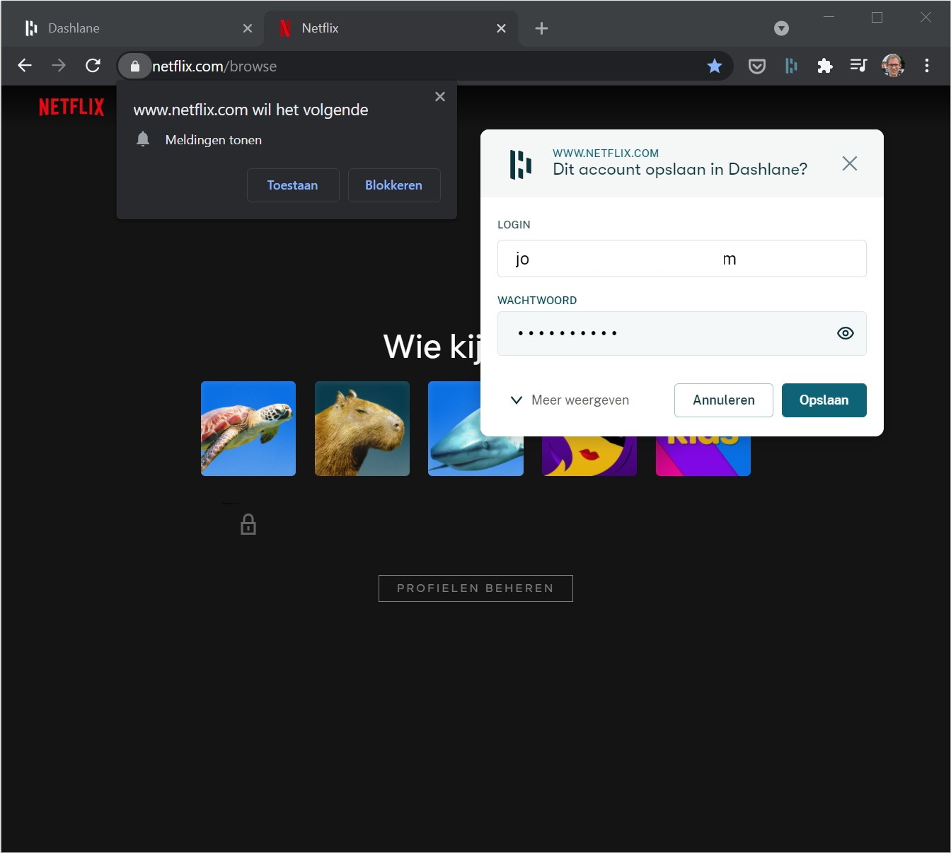 Screenshot Netflix-account opslaan