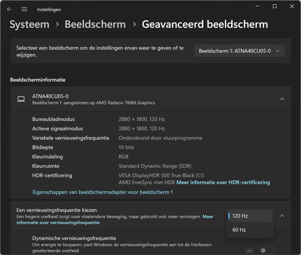 Screenshot van geavanceerde beeldscherminstellingen in Windows 11.