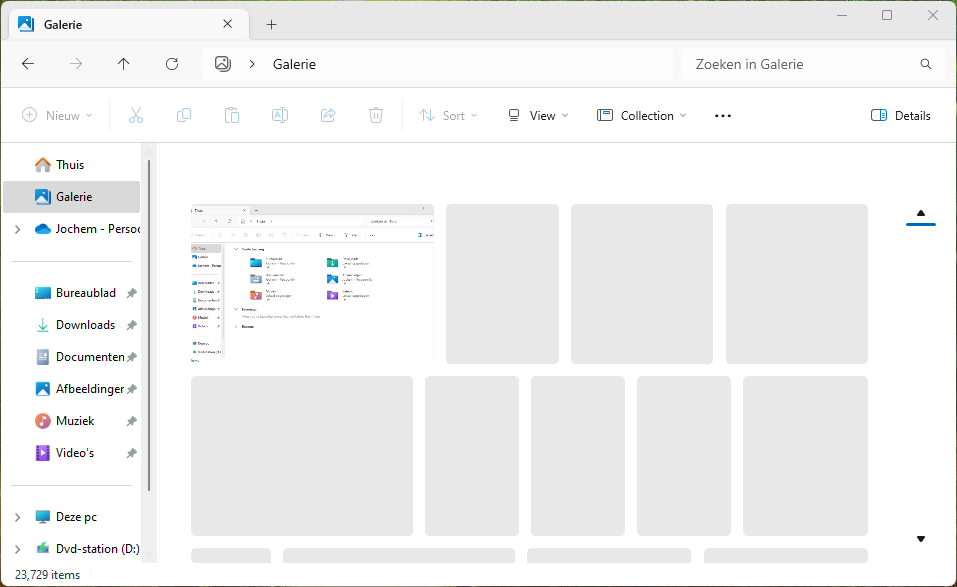 Galerij-weergave van Windows Verkenner