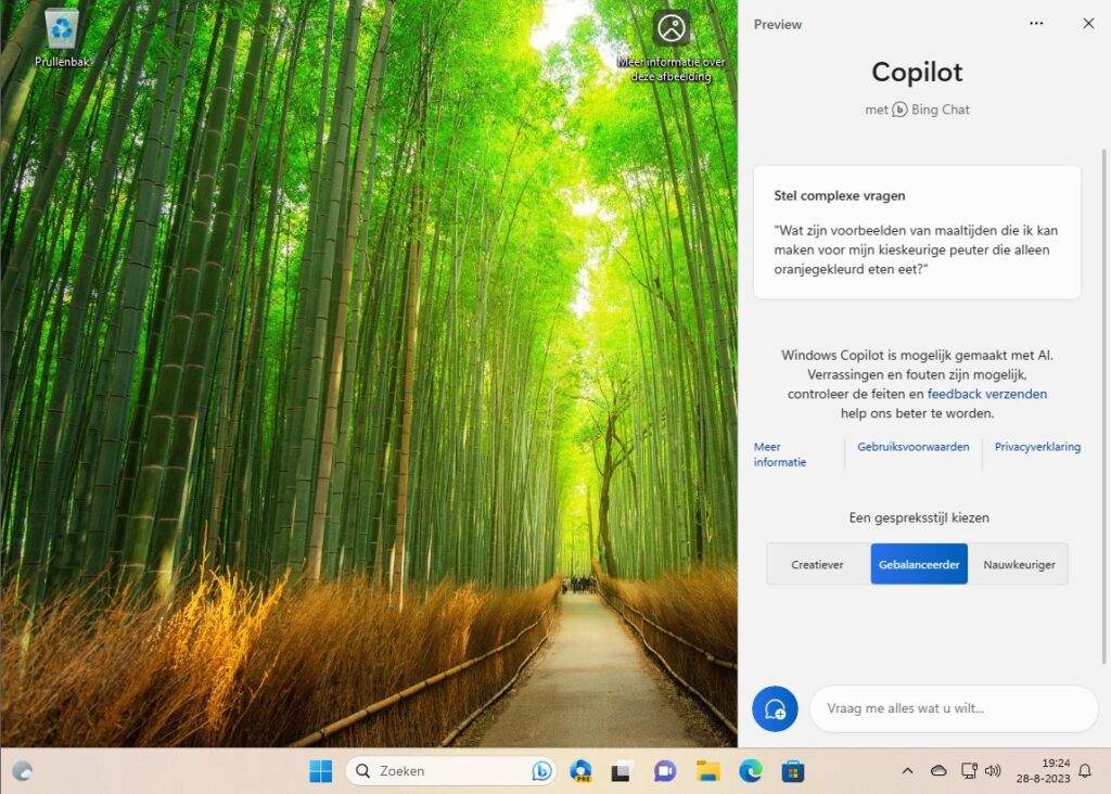 Screenshot van Windows Copilot.