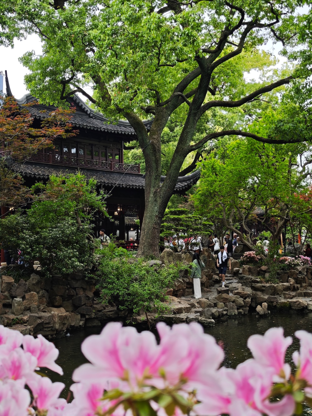 Foto met Xiaomi 15 Ultra