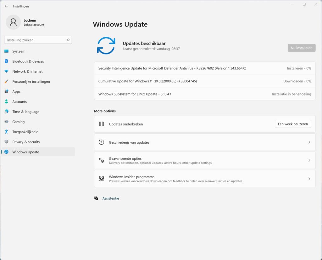 Screenshot Windows Update in Windows 11