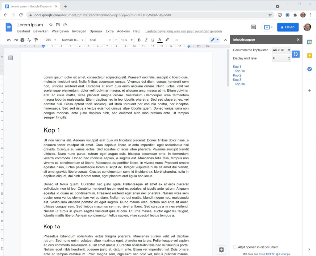 Screenshot van Google Docs met inhoudsopgave naast het document