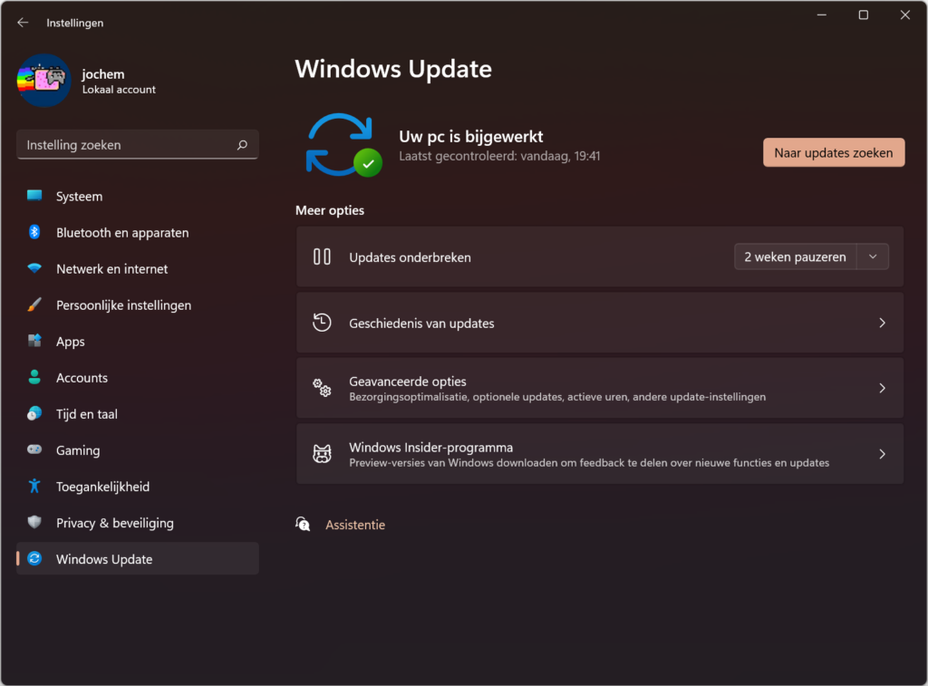 Screenshot Windows-update in Windows 11