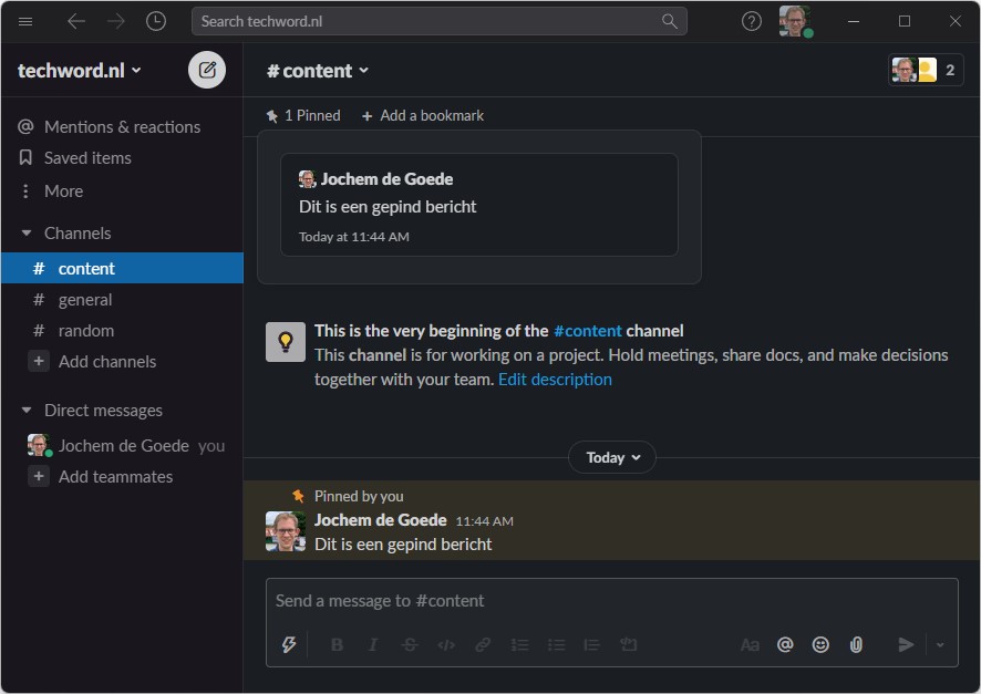 Screenshot Slack: voorbeeld van een vastgemaakt bericht