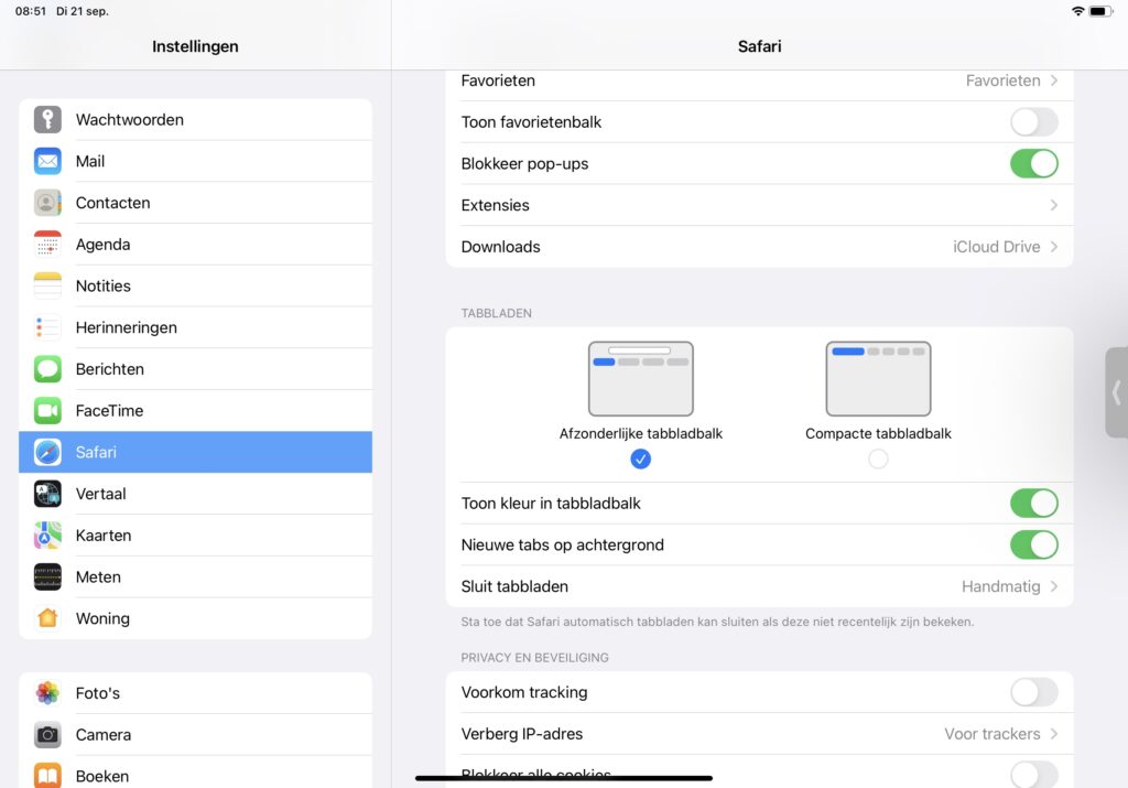 Screenshot instellingen compacte Safari