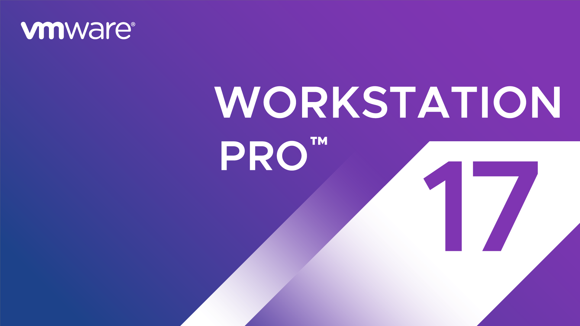 Logo van VMware Workstation Pro 17